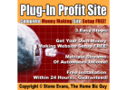 Generate 50 Leads per day on Autopilot